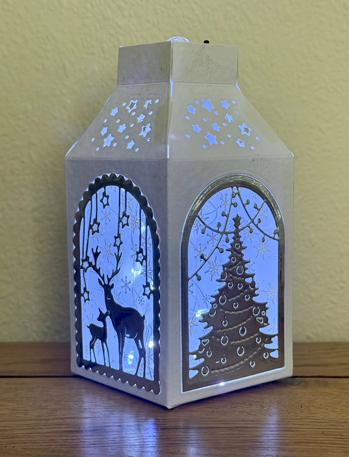 Maximumcrafts Christmas Lantern Online Workshop