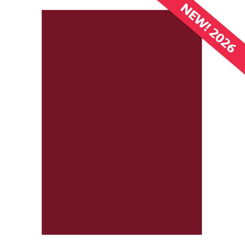 Matt-tastic Adorable Scorable Cardstock - Rosewood x 10 Sheets