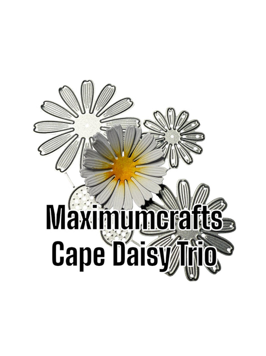 Maximumcrafts Cape Daisy trio