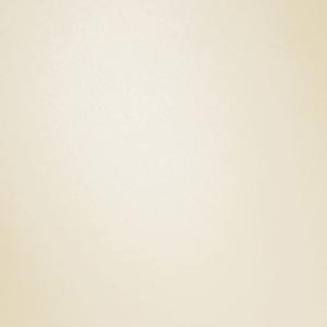 Creative Expressions Foundations Pearl Card Ivory A4 230gsm Pk20