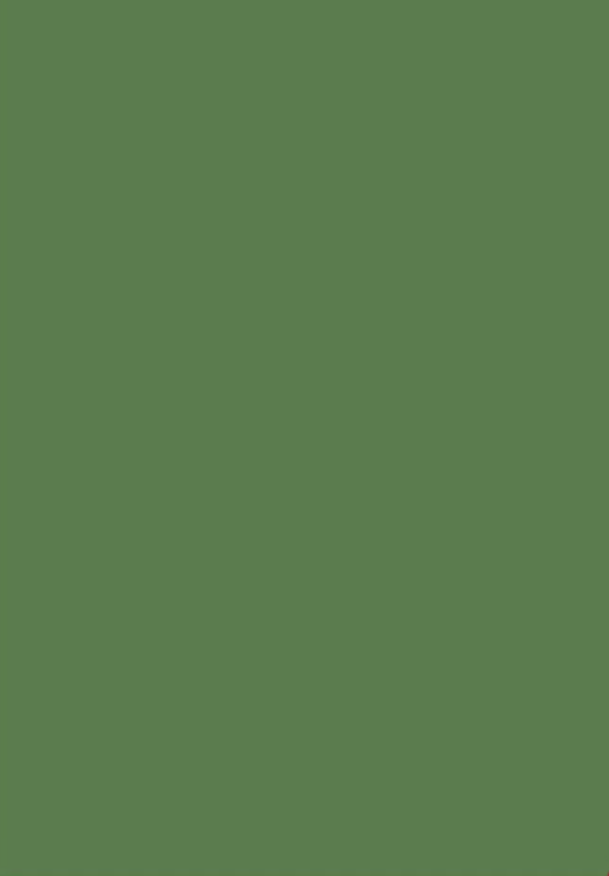 A4 Matt-tastic Adorable Scorable Cardstock - Moss Green x 10 Sheets