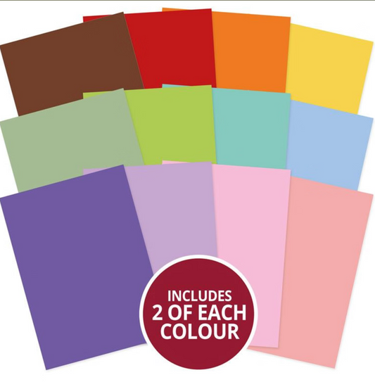 A Year of Flowers Adorable Scorable Selection